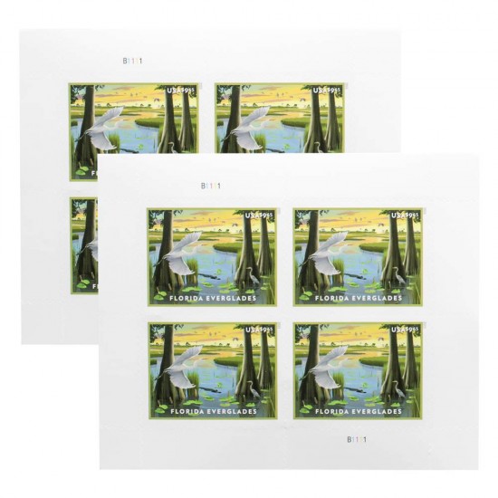 US Florida Everglades MNH 2023 Priority Stamp