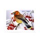 2016 US First-Class Forever Stamp - Songbirds in Snow